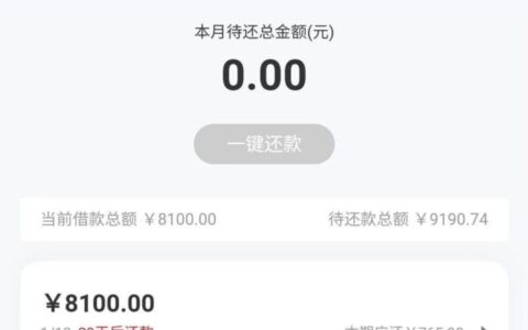 可以分12期的网贷平台，人人6000到10000