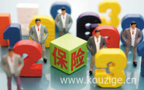 人寿保险公司的险种有哪些，投保注意事项