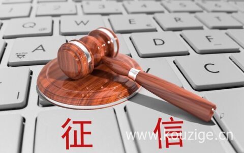 网上怎样查个人征信，详细查询步骤如下