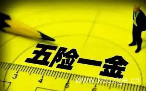 辞职以后五险一金可以取出来吗，缴费记录查询方法