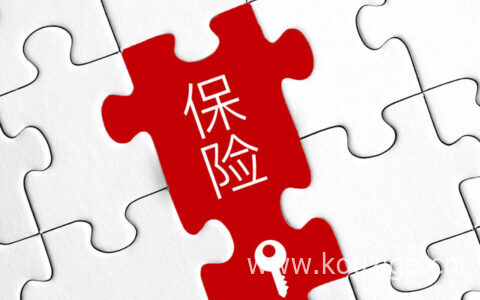 个人需要交多少钱，购买攻略在这里