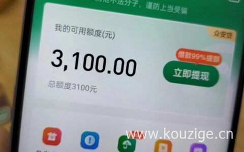 55岁以内可以借款的平台，可分12期，不打回访