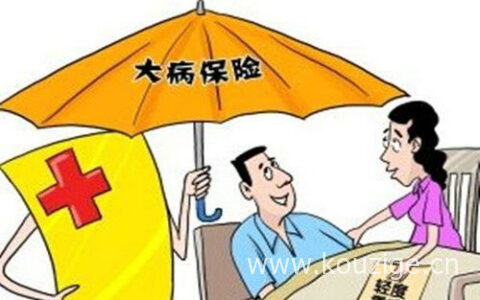 目前大病保险哪种比较好，一般包含这些保障范围