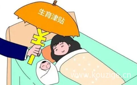 怎么查询自己的生育津贴金额，详细申请流程如下