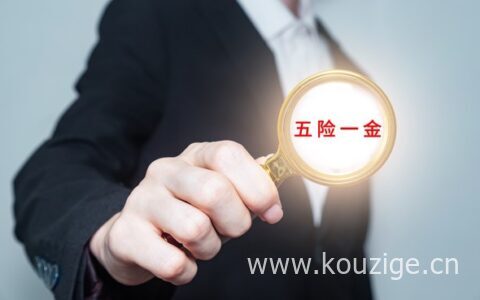 自由职业者如何缴纳五险一金，来看看缴纳比例