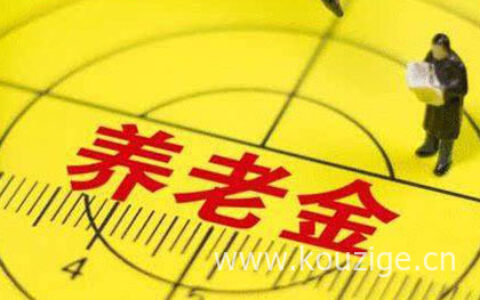 养老保险缴费查询个人账户怎么查，余额有这些用途