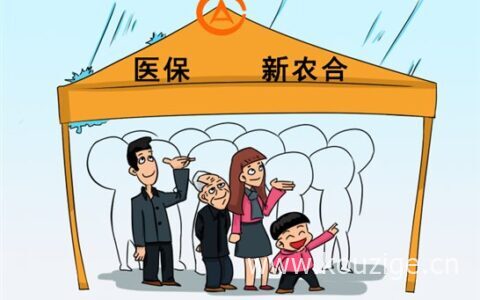 新农合大病报销需要什么手续，报销比例是多少