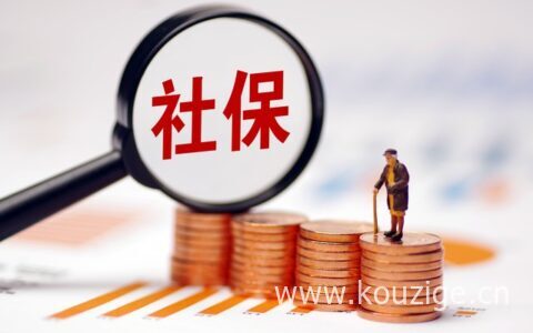 社保缴费分几个档次，手机查询方式有这些