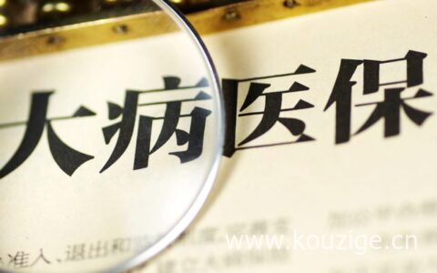 职工医保怎么办理大病医保，大病医保查询方式