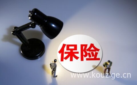 保险金额和保险费一样吗，两者的区别对比