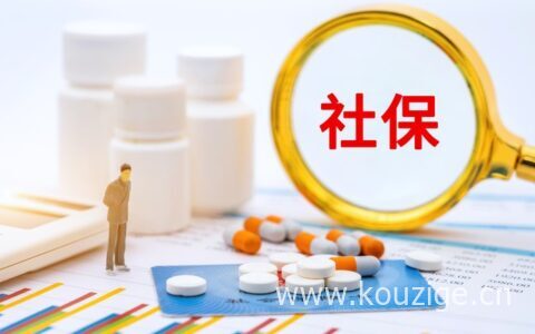 社保一般去哪里办理，办理社保可以获得这些保障