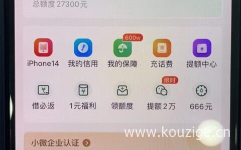满55岁哪里还能贷款，不看地区不打回访，秒批秒过