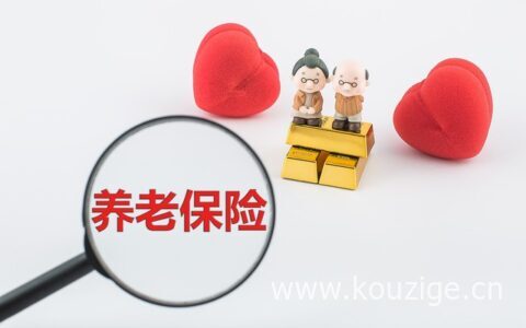 个人养老基金和养老保险一样吗，养老保险缴纳方式