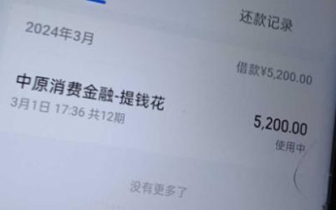 征信乱？2024年这些贷款或许能帮到你！