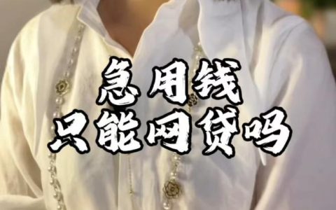 急用钱？这些网贷平台或许能帮到你！（2024年最新）