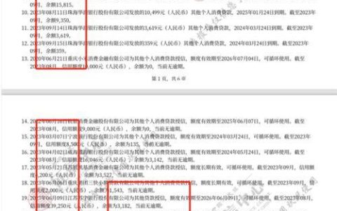 贷款逾期，担保人瑟瑟发抖？你的征信还好吗？