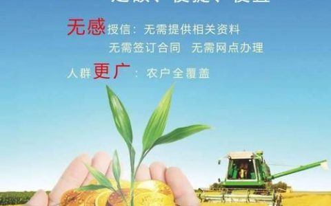 长期小额贷款：助您圆梦的灵活方案