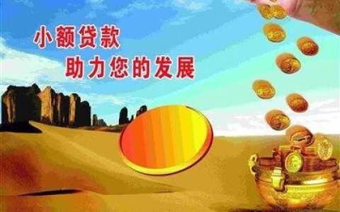 私人小额贷款公司：你需要知道的一切