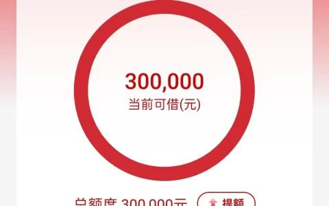 工商银行融e借有额度提不出来的原因及解决方案