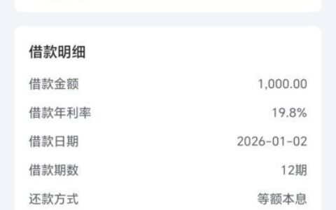 放心借第一次借款额度1000元，速到账不坑！