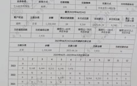 征信花成筛子还能借？这几个“老口子”亲测能下，但别乱点！